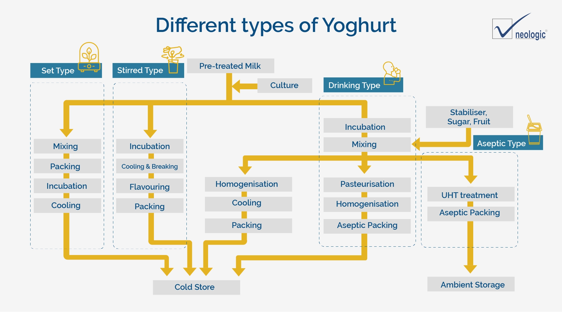 Different Types of Yoghurt