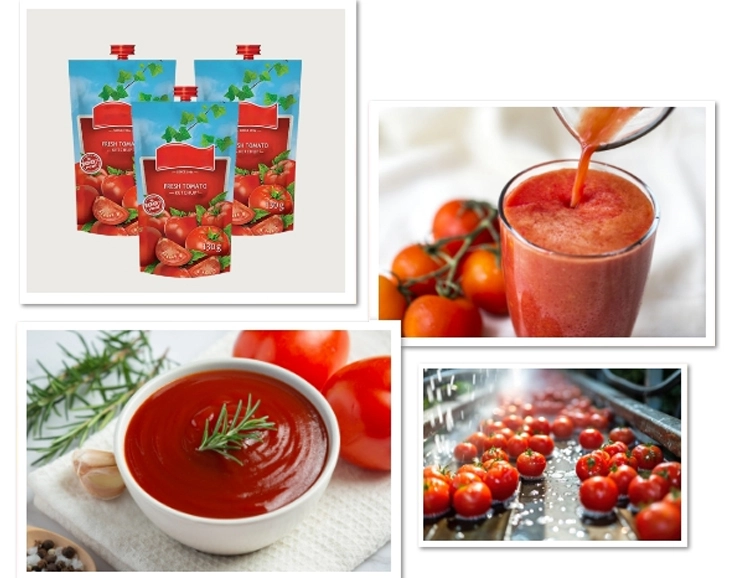 Tomato Processing Equipment & Solutions | Neologic